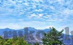 成人免费视频在线看-网络世界的双刃剑