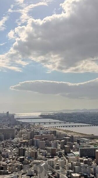 大象传媒免费进入-免费进入大象传媒，数字时代的内容盛宴