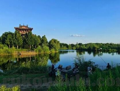 国产偷拍人妻网视频-国产偷拍人妻网视频，伦理与法律的灰色地带