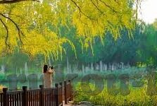 黑暗之中:人妻彩乃的不贞妄想-黑暗中的幻想，人妻彩乃的秘密欲望