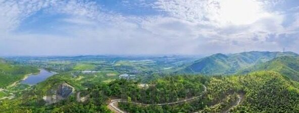 麻豆视频下载链接-1. 知识与信息获取的多角度解析