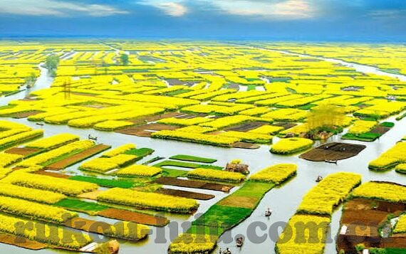 麻豆中文字幕视频-麻豆中文字幕视频，文化桥梁的构建与挑战