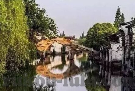 哪里才能找到糖心app-解密糖心app的妙用之地，揭秘真实用户的分享心得