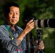 糖心app下载安装红杏h-寻找与探索，一个关于善用数字世界的真实案例